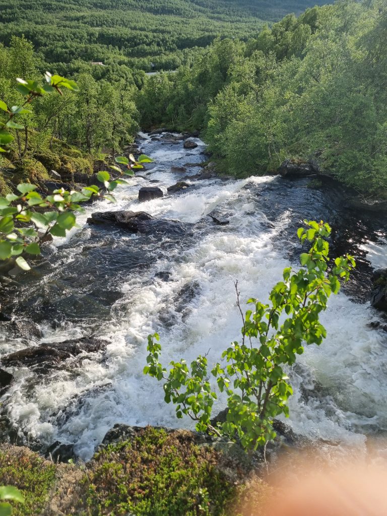 Anderssjöåfallet - Anderssjoafallet 5